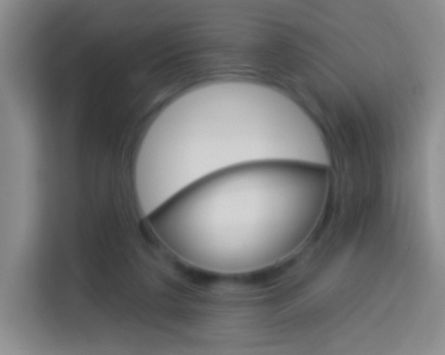 X0000114120211200910051306