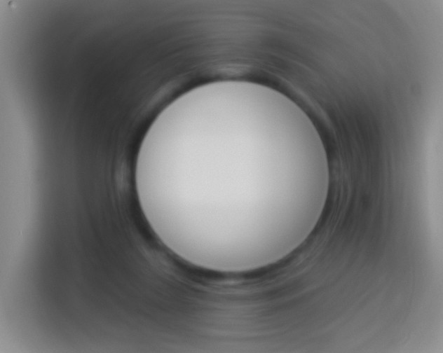 X0000114120212200910051306