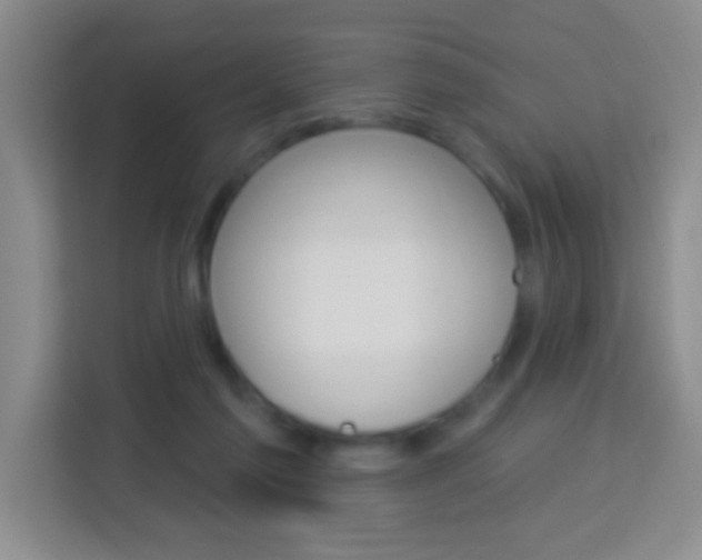 X0000114120213200910051306