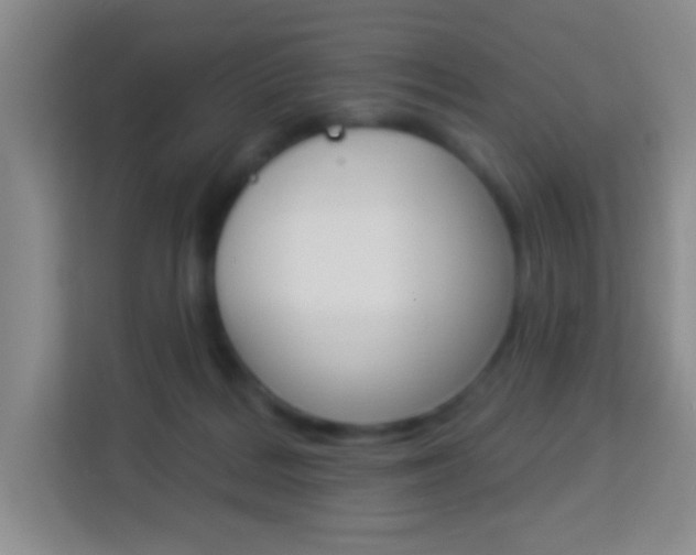 X0000114120220200910051306