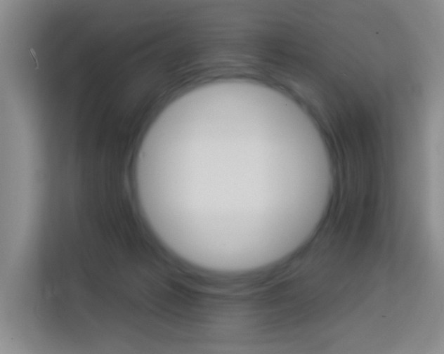 X0000114120221200910051306
