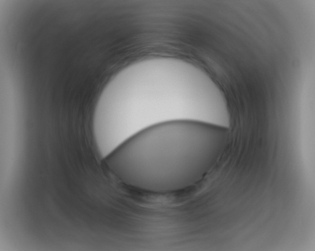 X0000114120223200910051306