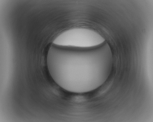 X0000114120224200910051306