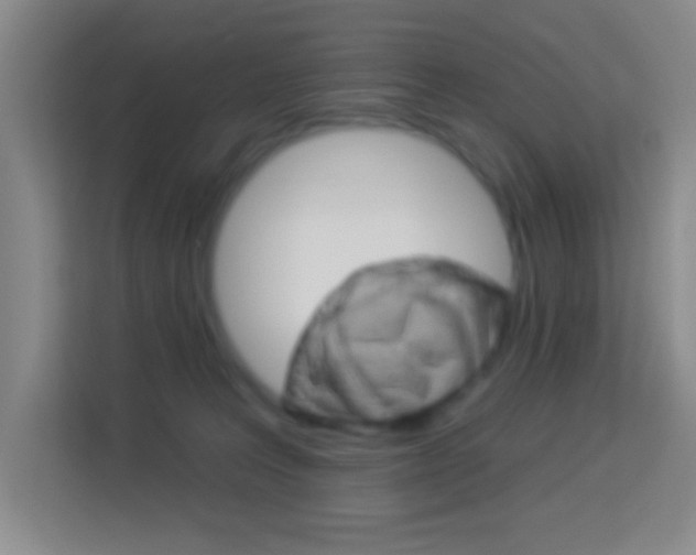 X0000114120227200910051306