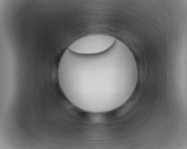 X0000114120230200910051305