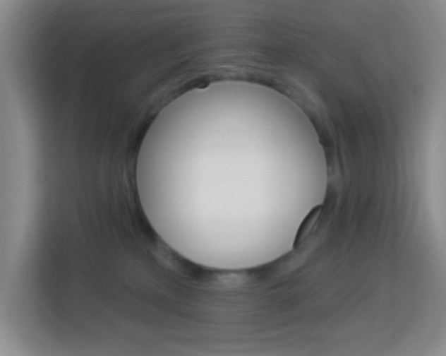 X0000114120233200910051305