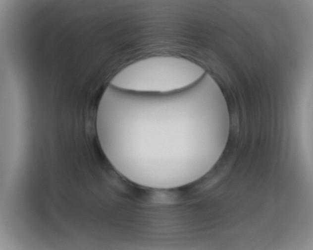 X0000114120234200910051305