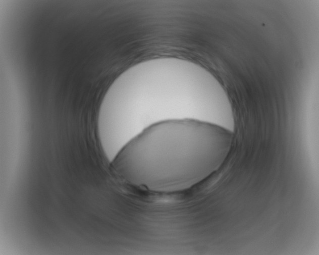 X0000114120235200910051305