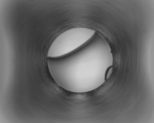 X0000114120236200910051305