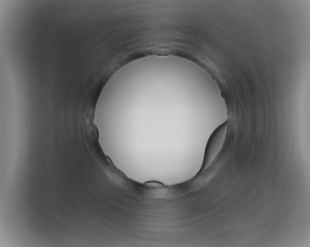 X0000114120237200910051305