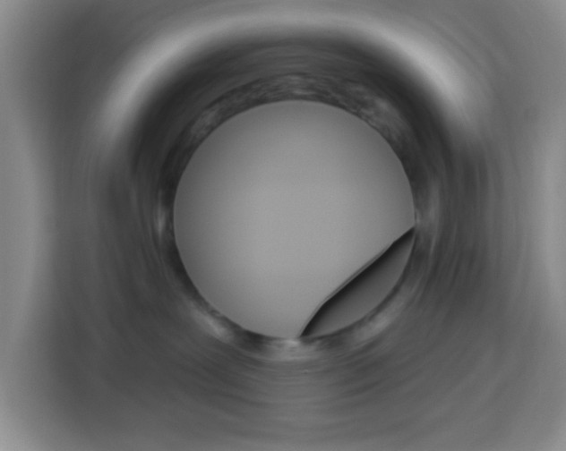 X0000114120239200910051305