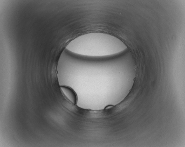 X0000114120240200910051305