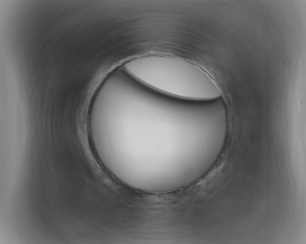 X0000114120241200910051305