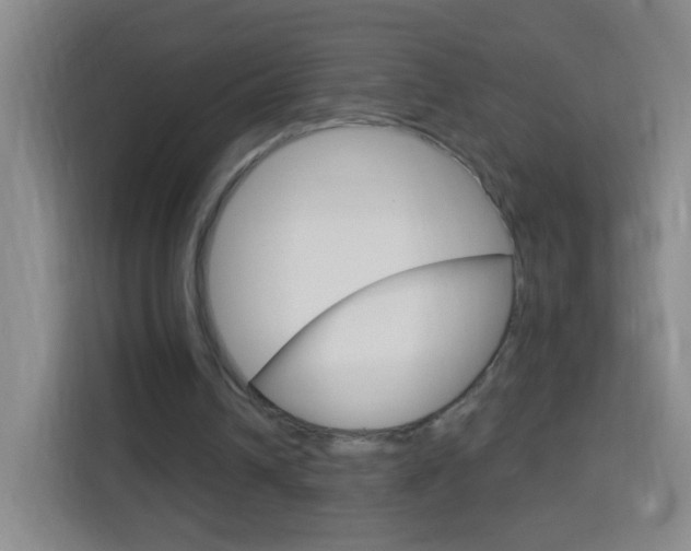 X0000114120242200910051305