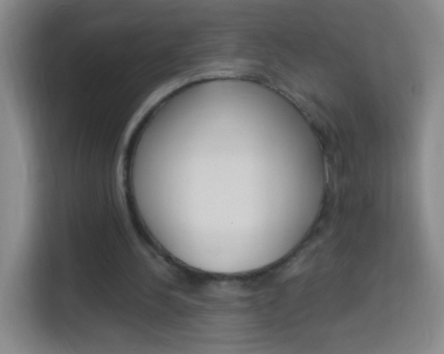 X0000114120244200910051305