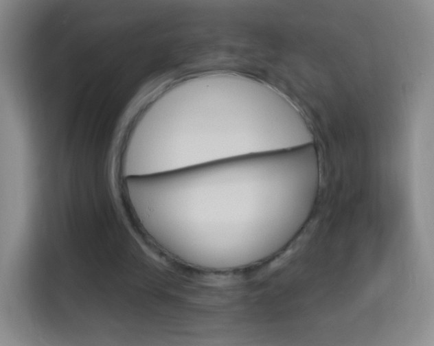 X0000114120245200910051305