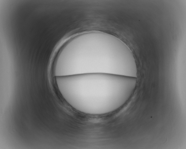 X0000114120246200910051305