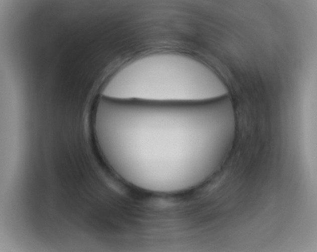 X0000114120250200910051305