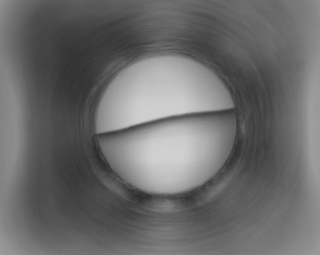 X0000114120254200910051305
