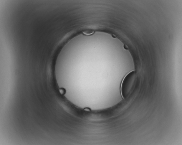 X0000114120256200910051305