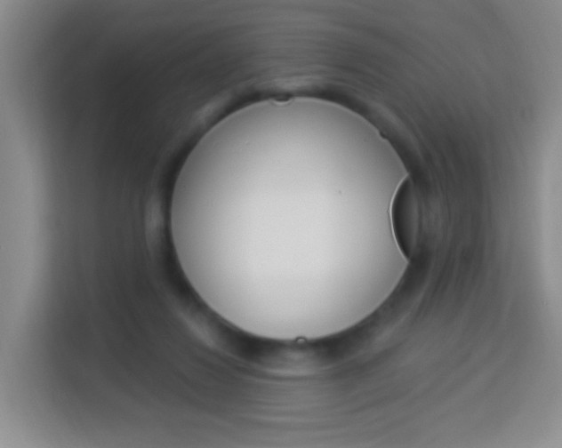 X0000114120260200910051305