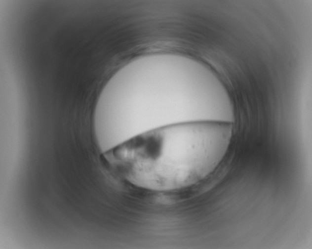 X0000114120261200910051305