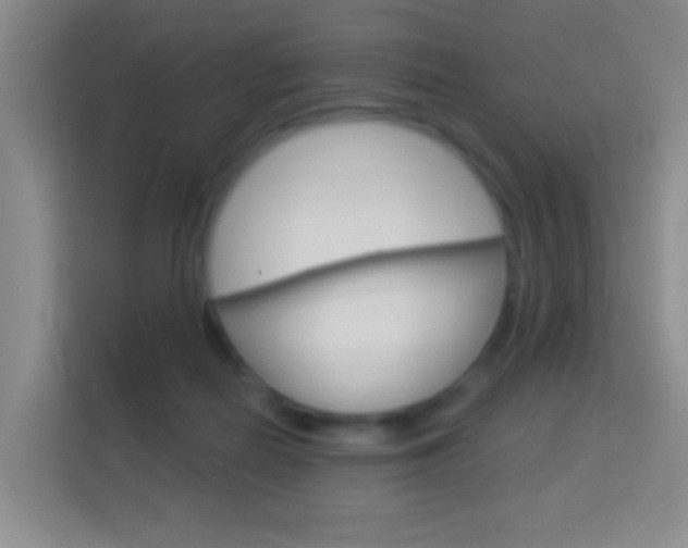 X0000114120266200910051305