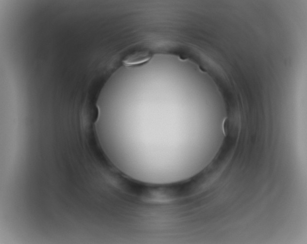 X0000114120268200910051305