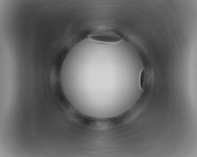X0000114120272200910051305