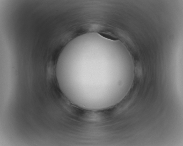 X0000114120276200910051305
