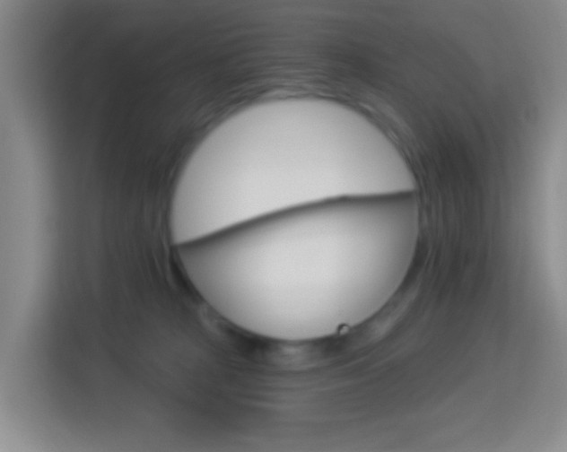 X0000114120277200910051305