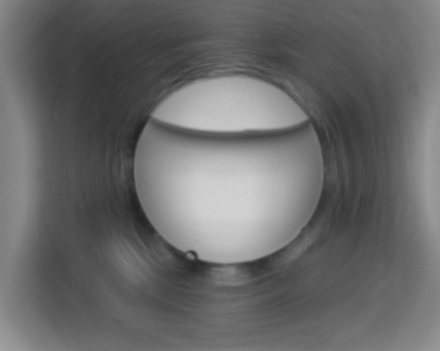 X0000114120281200910051305