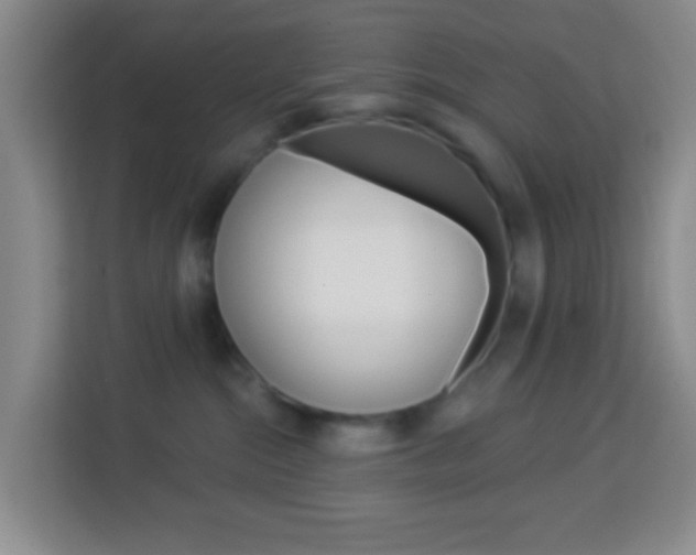 X0000114120284200910051305