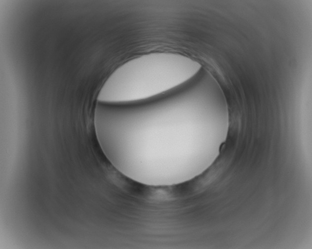 X0000114120285200910051305