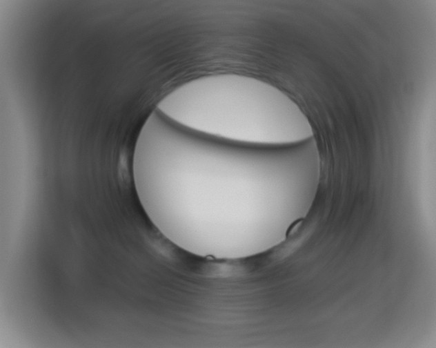 X0000114120286200910051305