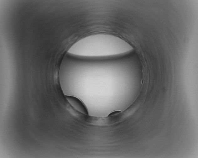 X0000114120288200910051305