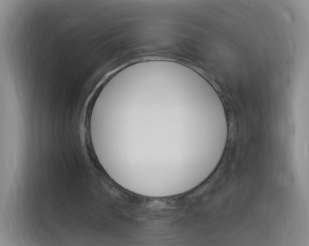 X0000114120290200910051305