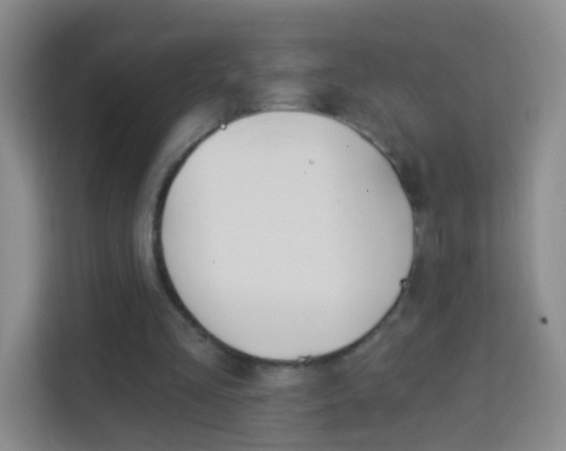 X0000114120293200910051305