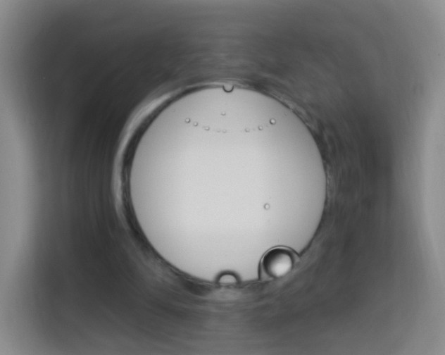 X0000114120294200910051305