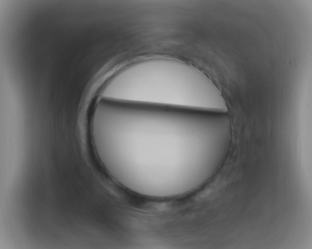X0000114120295200910051305