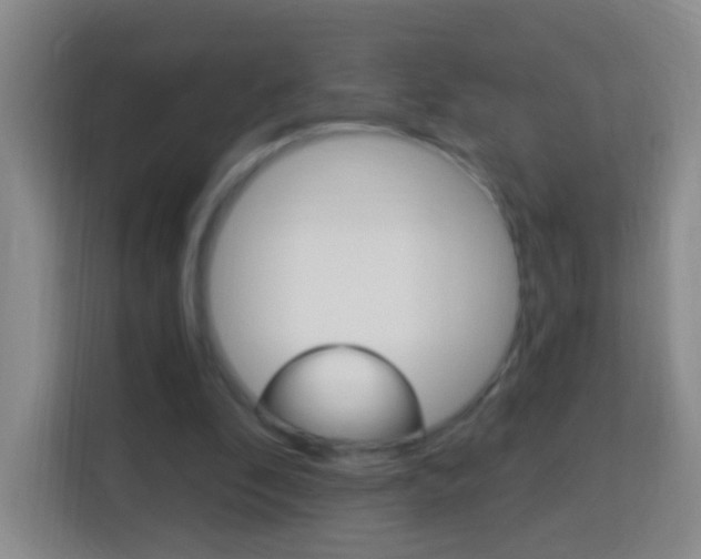 X0000114120296200910051305