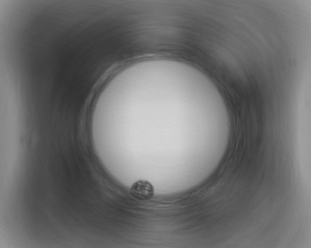 X0000114120300200910051305