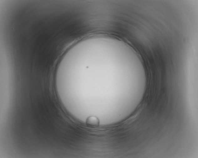 X0000114120301200910051305
