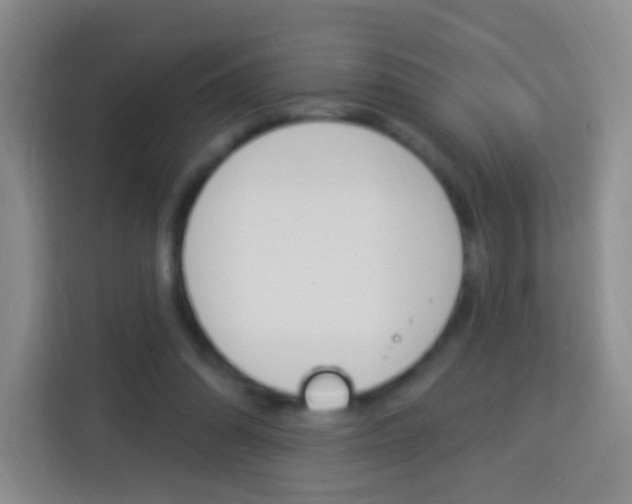X0000114120302200910051305