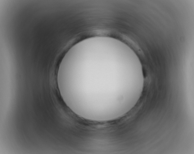 X0000114120306200910051305