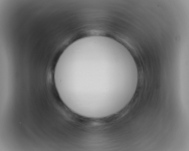 X0000114120310200910051304
