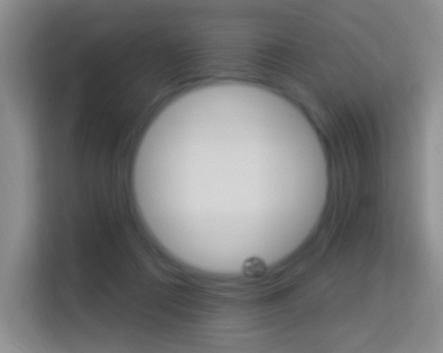 X0000114120312200910051304