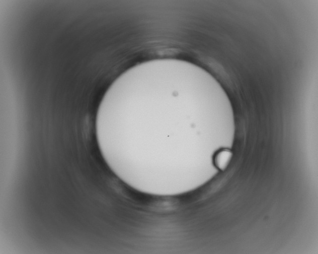 X0000114120321200910051304