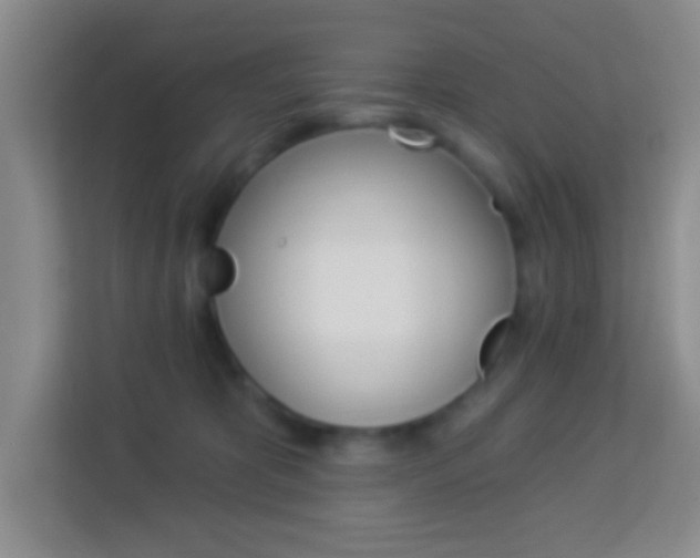 X0000114120325200910051304