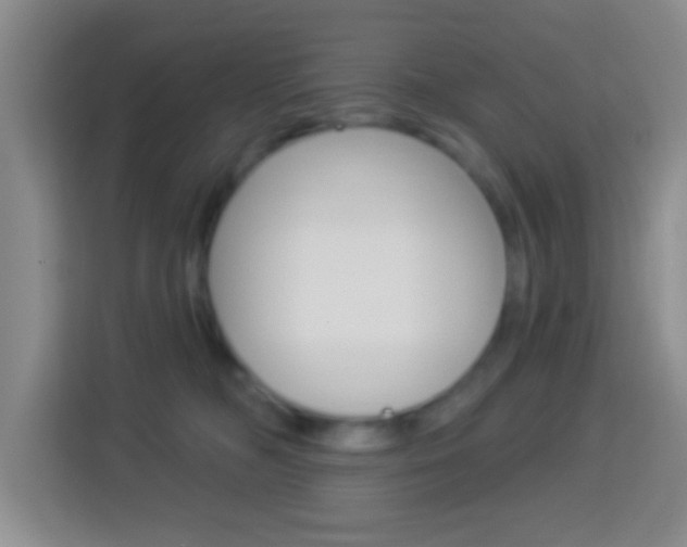 X0000114120326200910051304
